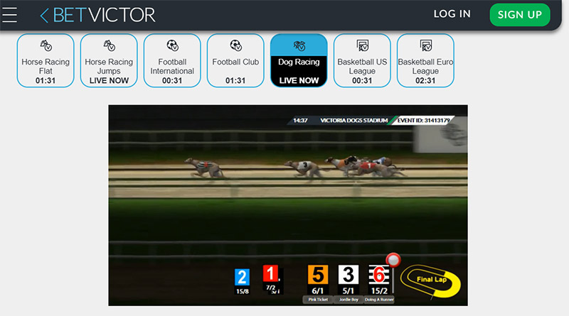 BetVictor- Greyhounds betting site with highly competitive odds
