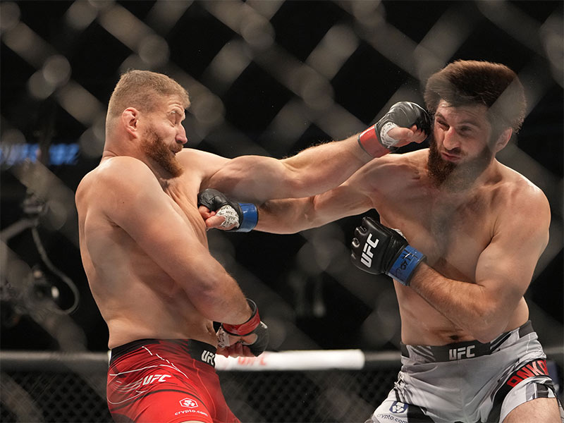 Choose a reputable UFC betting site