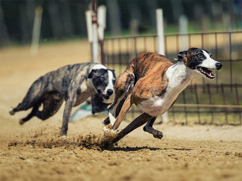 Don't believe in any impossible promises when it comes to betting