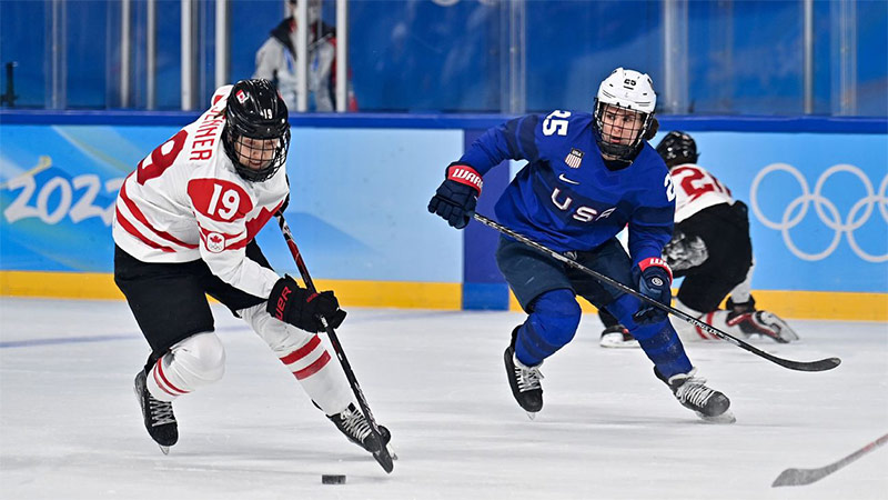 Learn about the factors that affect hockey games