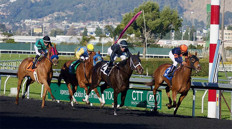 Odds in horse racing today