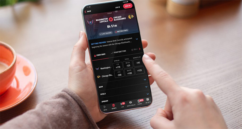 PointsBet – Best NFL Betting Site