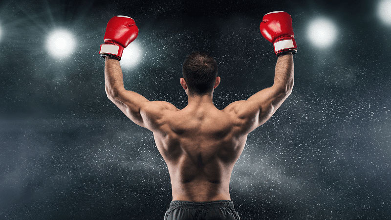 Single bets in betting for boxing