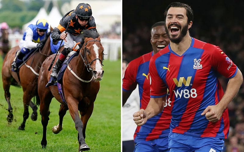 W88 the number one horse racing bookmaker