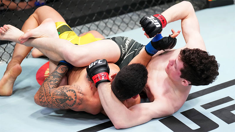 What to look for at UFC Online Betting