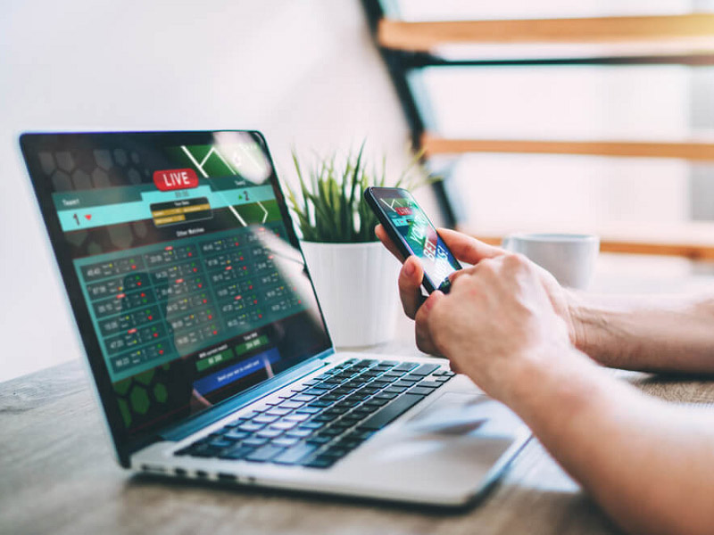 Learn about florida sports betting app