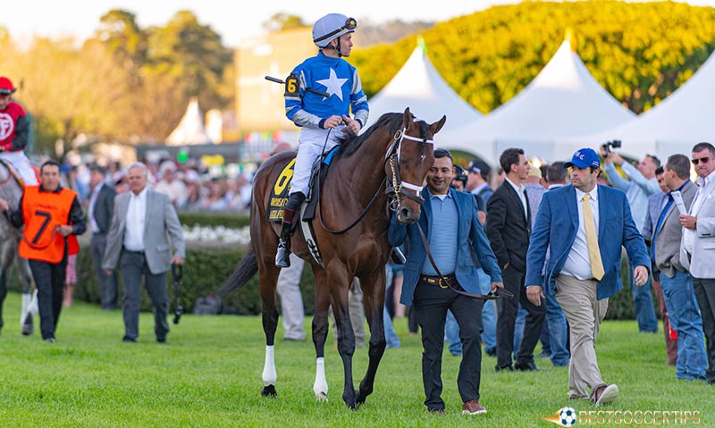 Rules in Preakness Future Bet