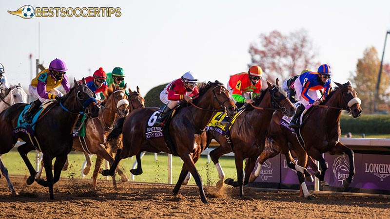 Betting rules horse racing: Reduction Factors