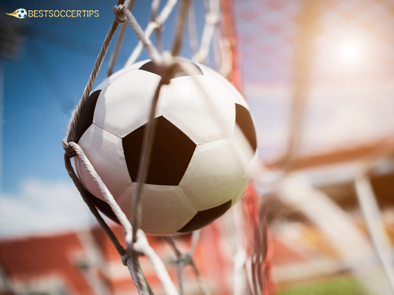 Learn about betting tips sites