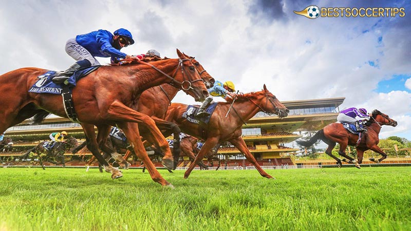 Horse Racing Betting Tips and Strategies: Know the Owners and Trainers
