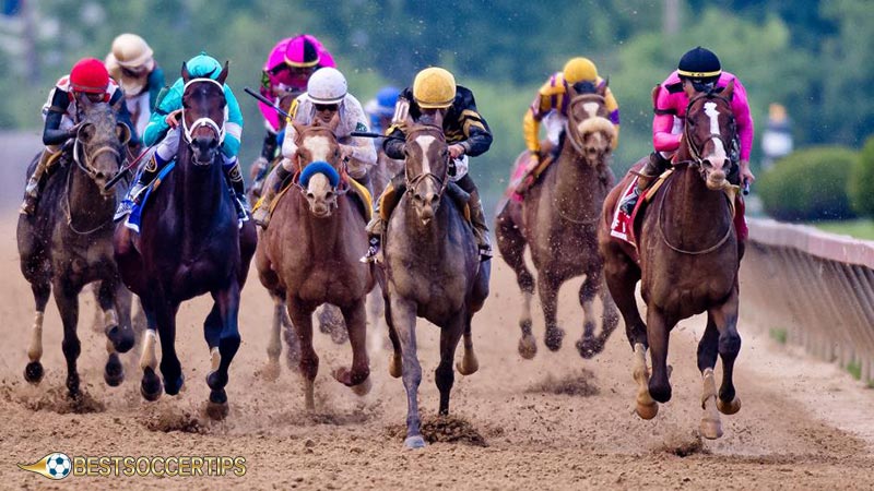 Horse Racing Betting Tips and Strategies: Keeping Track of Your Budget