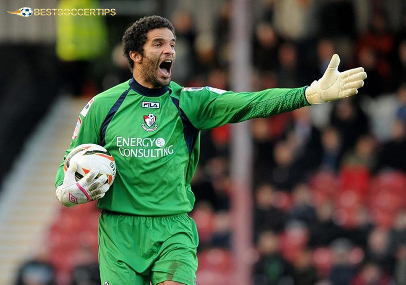 David James - The best goalkeeper in Premier League