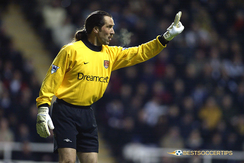 Who is the best goalkeeper in the Premier League - David Seaman