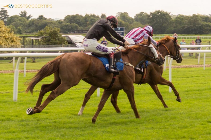 Apply Exacta Box strategies to increase your chances of winning big