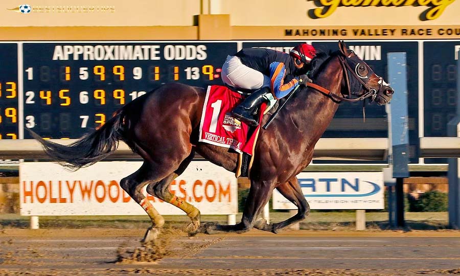 Choose a horse with good endurance to maintain a steady speed in long races
