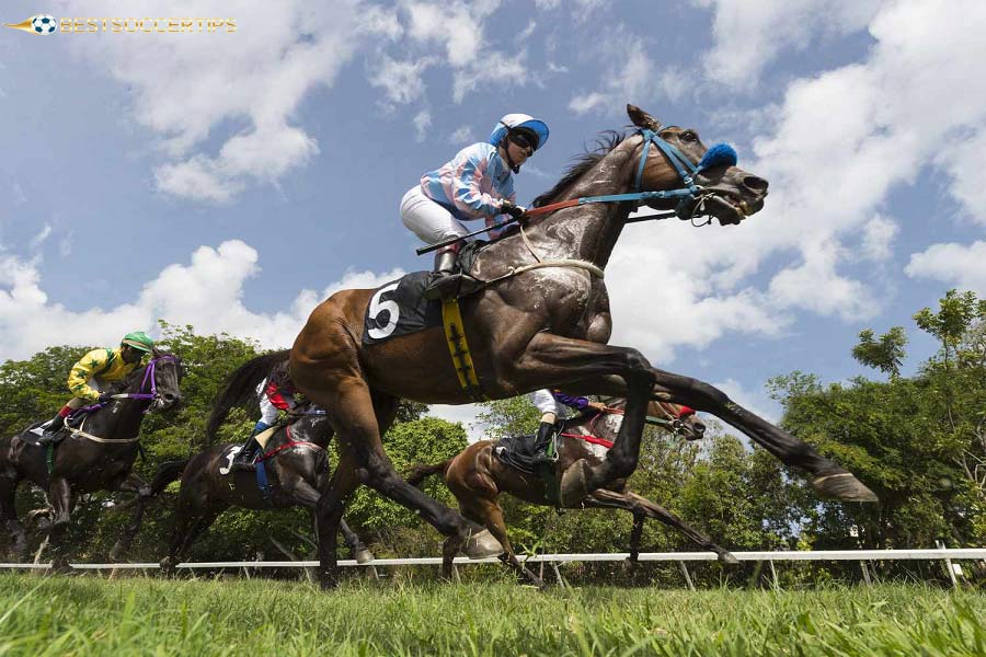 Exacta Box betting allows you to choose the top two horses in any order