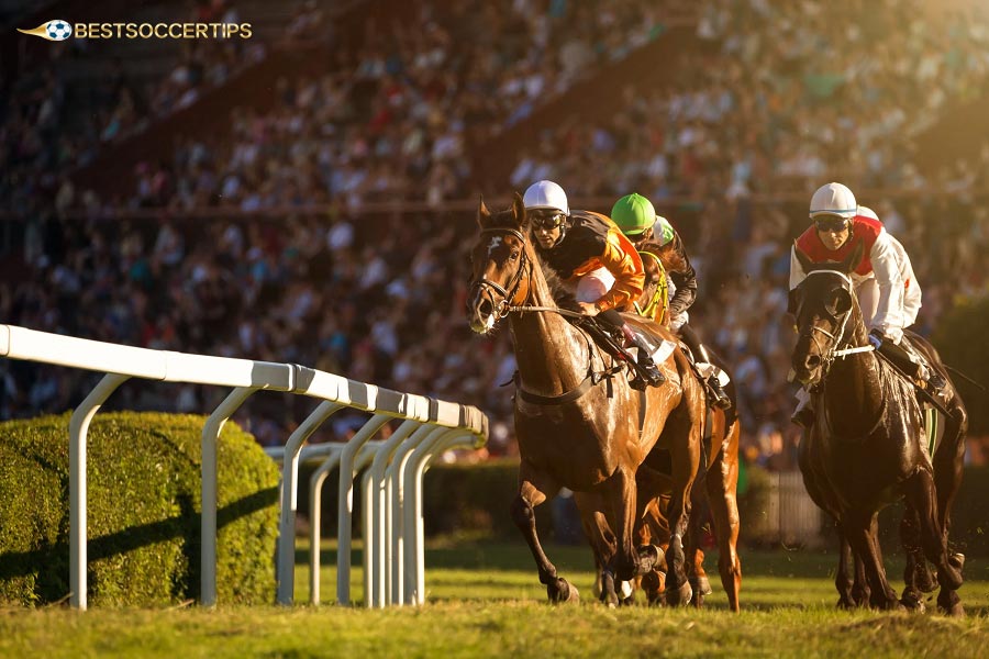 Odds reflect the horse's likelihood of winning