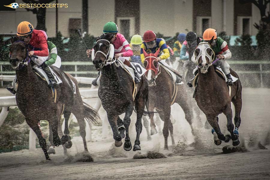 Quinella betting involves selecting two horses in the top 2, without the exact order