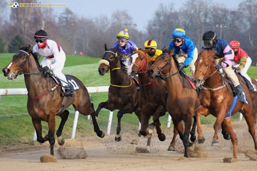 Understanding Exacta bet types helps players bet easily
