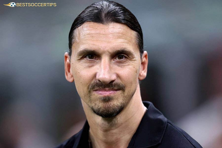 Zlatan Ibrahimovic - Euro Cup top scorer